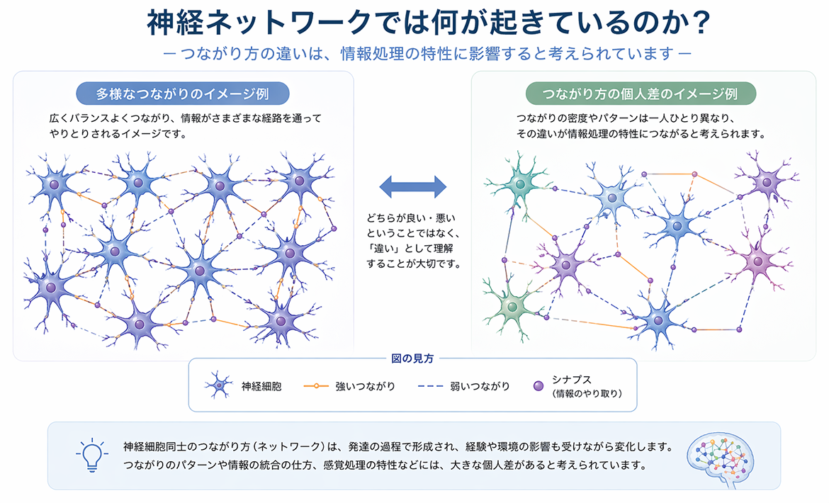 神経ネットワークでは何が起きているのかを表している画像