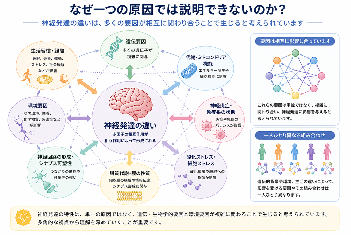 なぜ一つの原因では説明できないのかを図解した画像