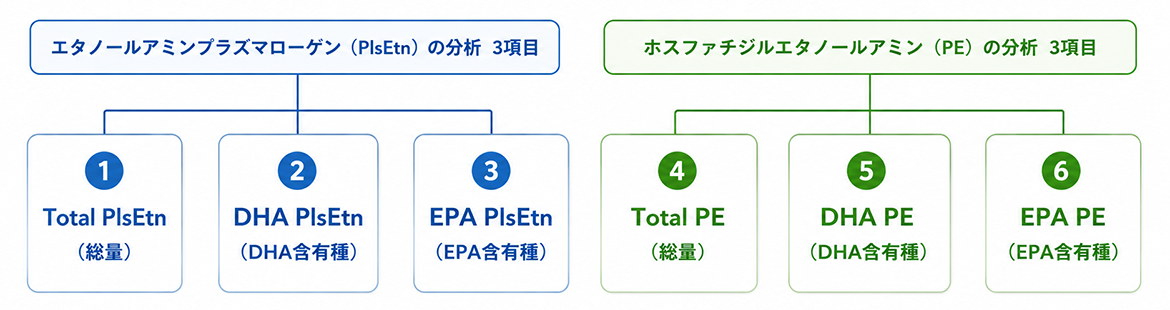 エタノールアミンプラズマローゲン（PlsEtn）の分析3項目とホスファチジルエタノールアミン（PE）の分析3項目の図